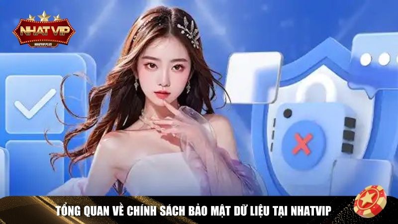 Tổng quan chính sách bảo mật Nhatvip